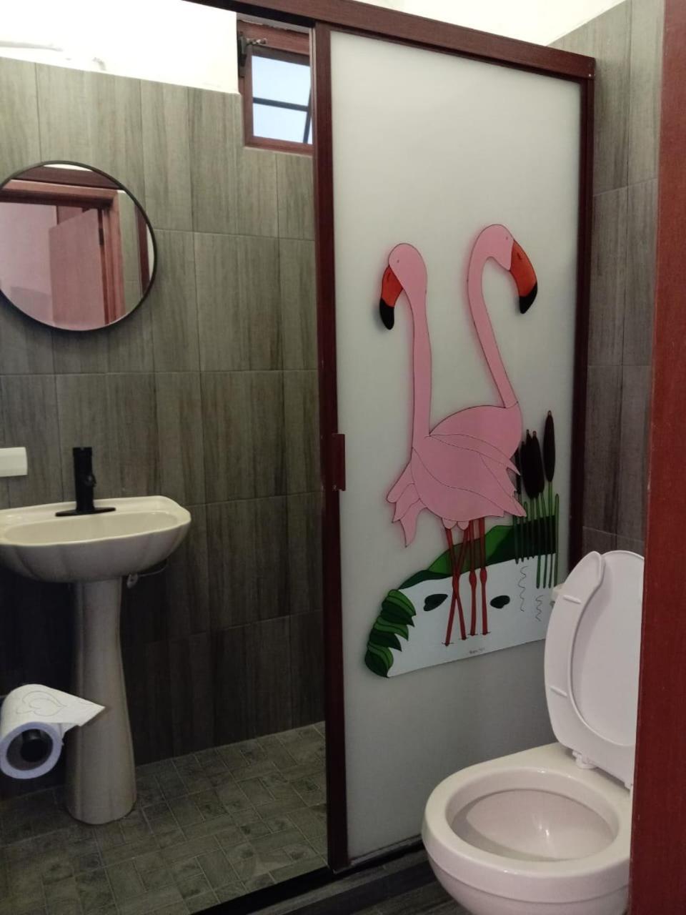 Hotel Colonos Los Cabos Cabo San Lucas Dış mekan fotoğraf