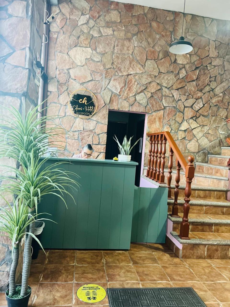 Hotel Colonos Los Cabos Cabo San Lucas Dış mekan fotoğraf