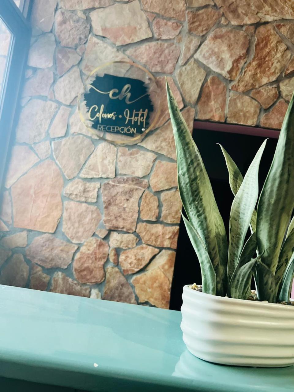 Hotel Colonos Los Cabos Cabo San Lucas Dış mekan fotoğraf